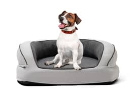 Fetch Orthopedic Memory Foam Sofa Dog Bed Medium