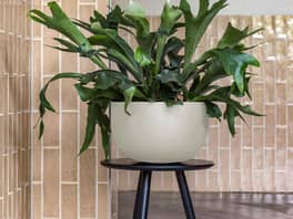 Ronda Fiberstone Pot Cream 21L