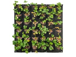 Wall Hung Planter Non-Woven 36 Pocket - 2 Pack