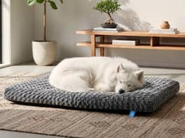 Fetch Plush Dog Bed 10cm Thick XX-Large