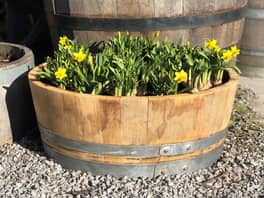 Oak Wine Barrel Quarter