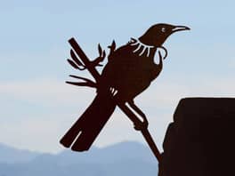 Tui Metal Bird Ornament - Corten Steel
