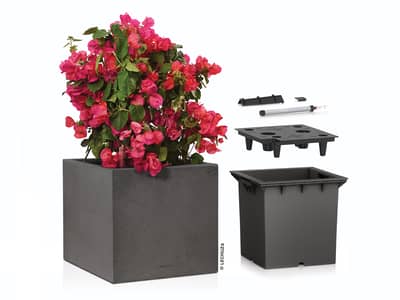LECHUZA CANTO Stone 40 Vaso Basso Grafite – Fioriera Con Sistema Di Irrigazione, Aspetto Ardesia, Per Interni/esterni, Made In Germany