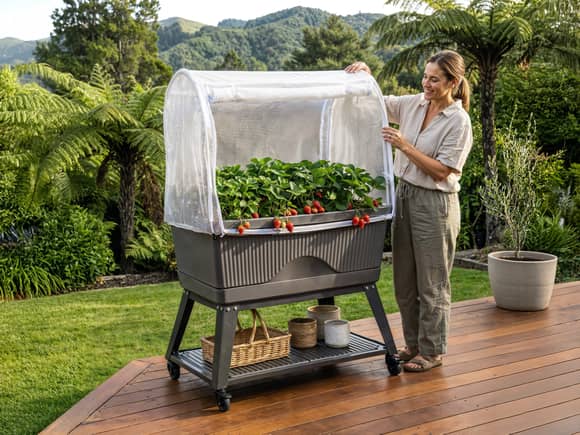 Backyard Farmer Georgie Raised Garden Bed 