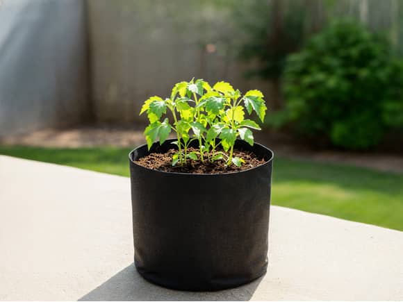 Grow Bag Non-Woven 4L - 5 Pack