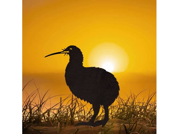 Brown Kiwi Metal Bird Ornament - Corten Steel