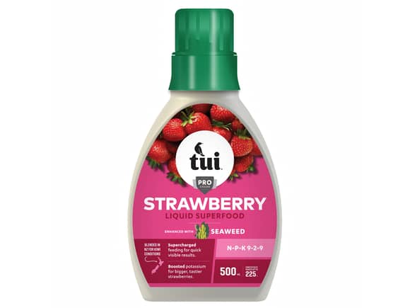 Tui Strawberry Liquid Superfood Fertiliser 1L 