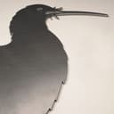 Brown Kiwi Metal Bird Ornament - Corten Steel 3