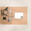 Kereru Pair Metal Bird Ornament - Corten Steel 5