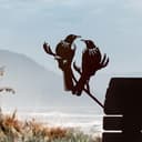 Tui Twosome Metal Bird Ornament - Corten Steel 7